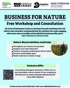 Business for Nature focus group